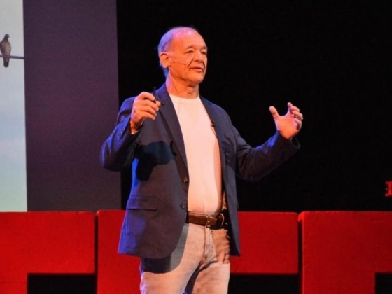 Ira Wolfe | Best Selling Author, Work Futurist, TEDx Speaker